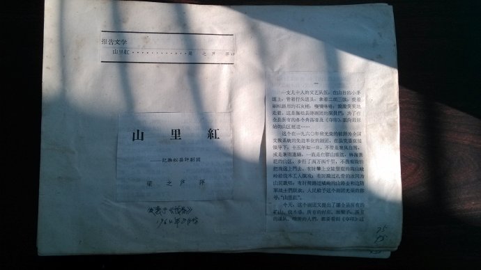 梁之  芦萍：1964年报告文学《山里红——记抚松县评剧团》